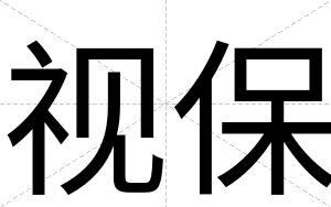 视保