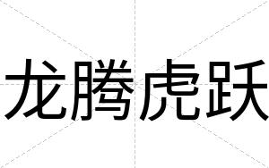 龙腾虎跃