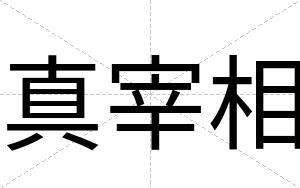 真宰相