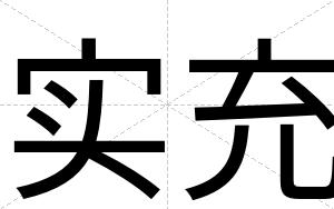 实充