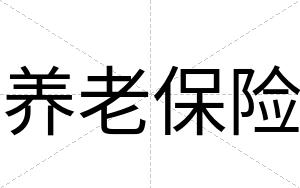 养老保险