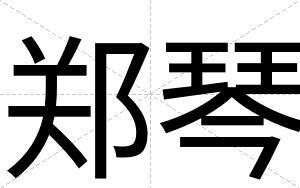郑琴