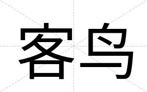 客鸟