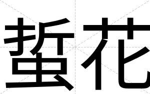 蜇花