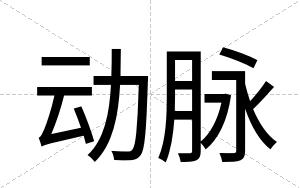 动脉