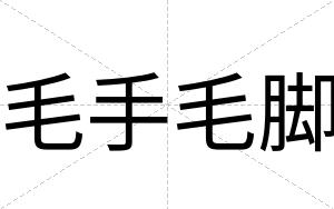 毛手毛脚