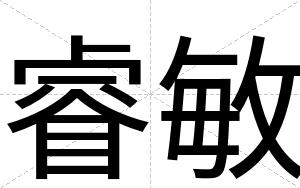 睿敏