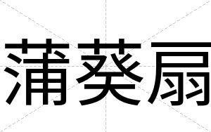 蒲葵扇