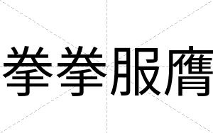 拳拳服膺
