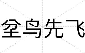坌鸟先飞