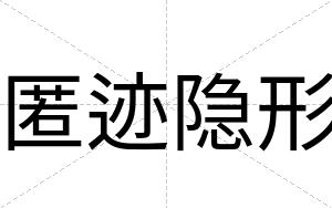 匿迹隐形
