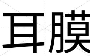 耳膜