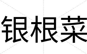 银根菜