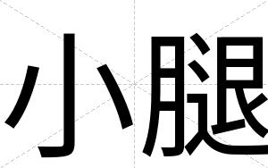 小腿