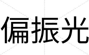 偏振光