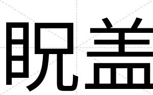 眖盖