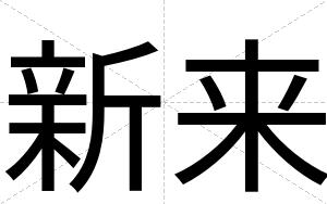 新来