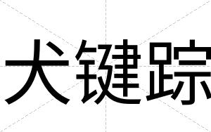 犬键踪