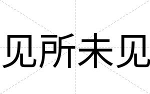 见所未见