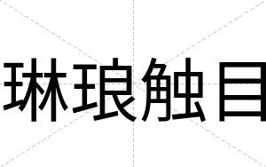 琳琅触目