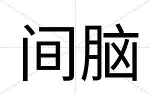 间脑