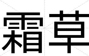 霜草