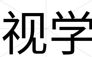 视学