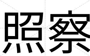 照察