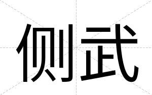 侧武