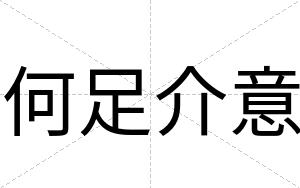 何足介意