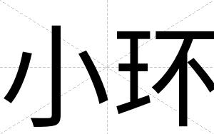 小环