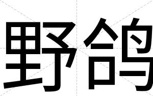 野鸽