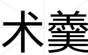 术羹