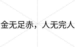 金无足赤，人无完人