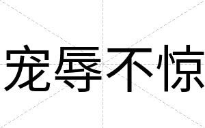 宠辱不惊