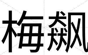 梅飙
