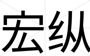 宏纵