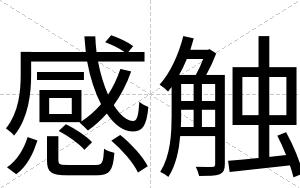 感触