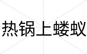 热锅上蝼蚁