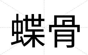 蝶骨
