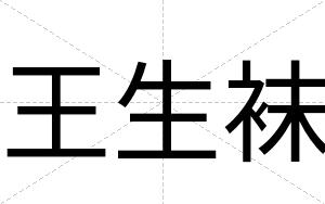 王生袜