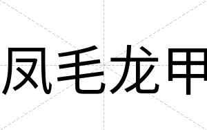 凤毛龙甲