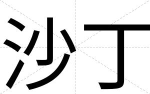 沙丁