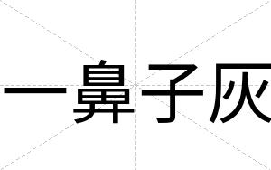 一鼻子灰