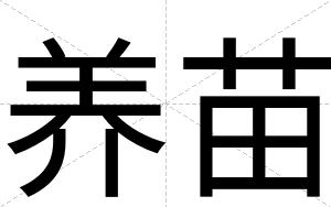养苗