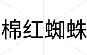 棉红蜘蛛