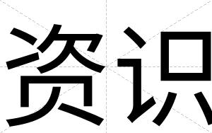 资识