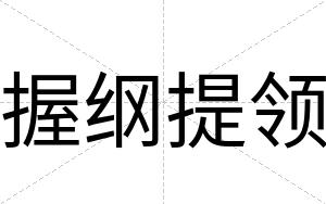 握纲提领