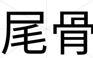尾骨