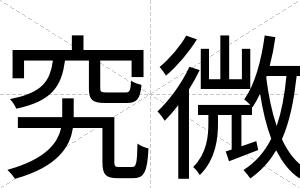 究微